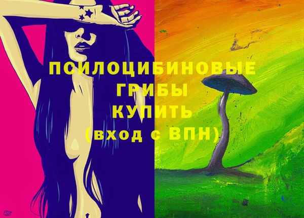 стафф Сатка
