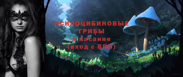 спайс Аркадак